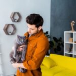 How Long Your Teddy Bear Cats Gonna Be Around