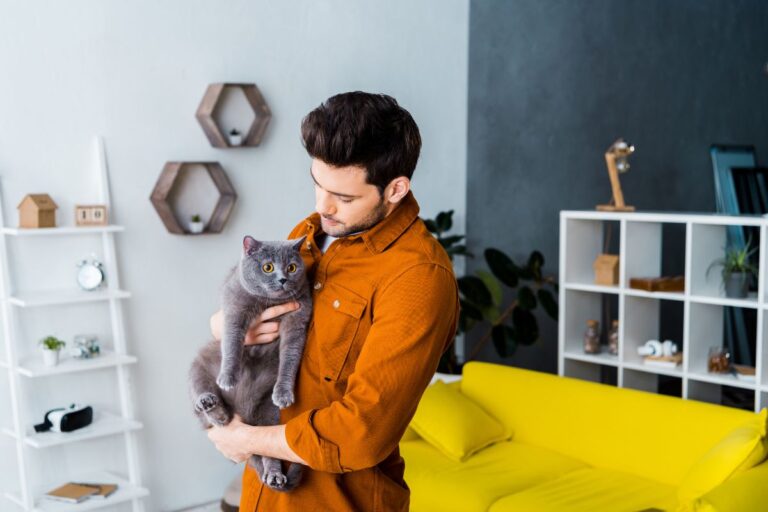 How Long Your Teddy Bear Cats Gonna Be Around