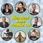 Weirdest Jobs People Do