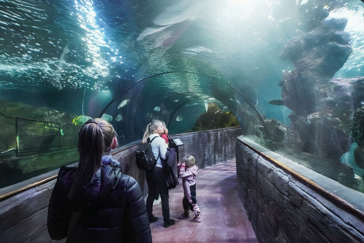 National Aquarium The Baltimore Legend